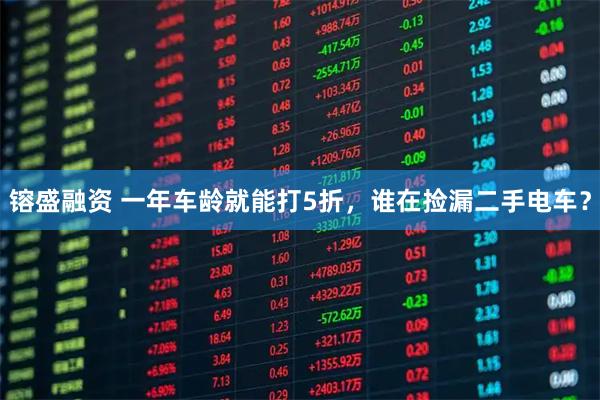 镕盛融资 一年车龄就能打5折，谁在捡漏二手电车？