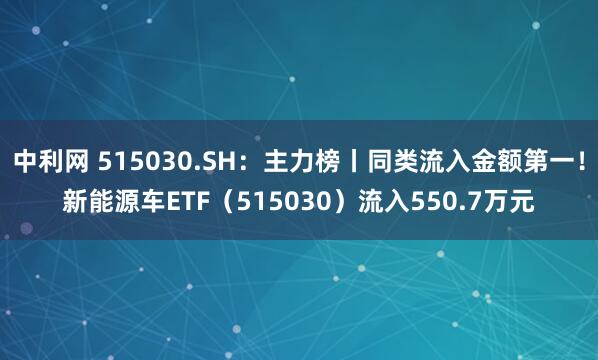 中利网 515030.SH：主力榜丨同类流入金额第一！新能源车ETF（515030）流入550.7万元