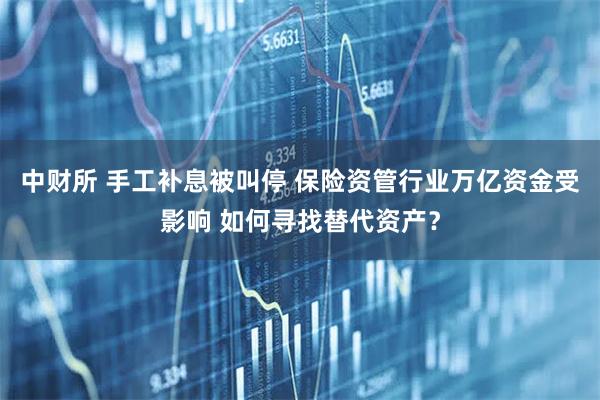 中财所 手工补息被叫停 保险资管行业万亿资金受影响 如何寻找替代资产？