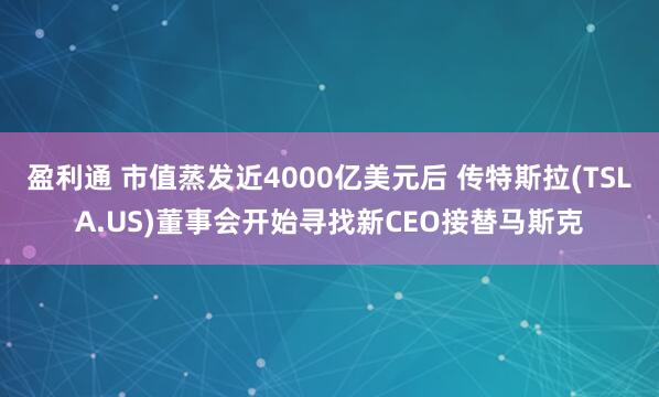 盈利通 市值蒸发近4000亿美元后 传特斯拉(TSLA.US)董事会开始寻找新CEO接替马斯克